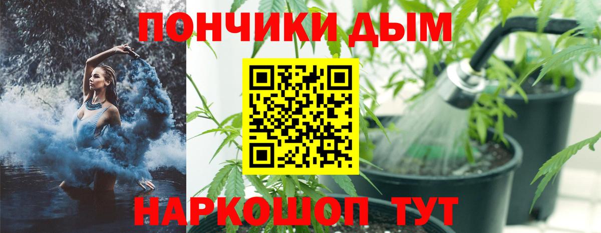 Бошки Шишки конопля  Канабис Amnesia  Тимашёвск  Шишки марихуана марихуана  Вход с VPN 